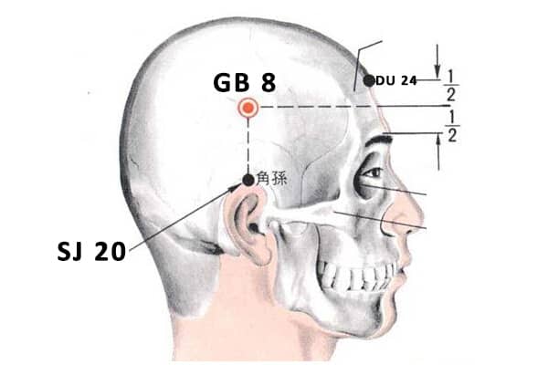 soái cổ