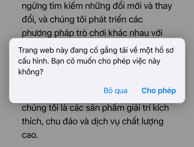 Trang web yêu cầu người chơi tải hồ sơ cấu hình để cài phần mềm, tiềm ẩn nguy cơ bị chiếm quyền điều khiển thiết bị. Ảnh chụp màn hình