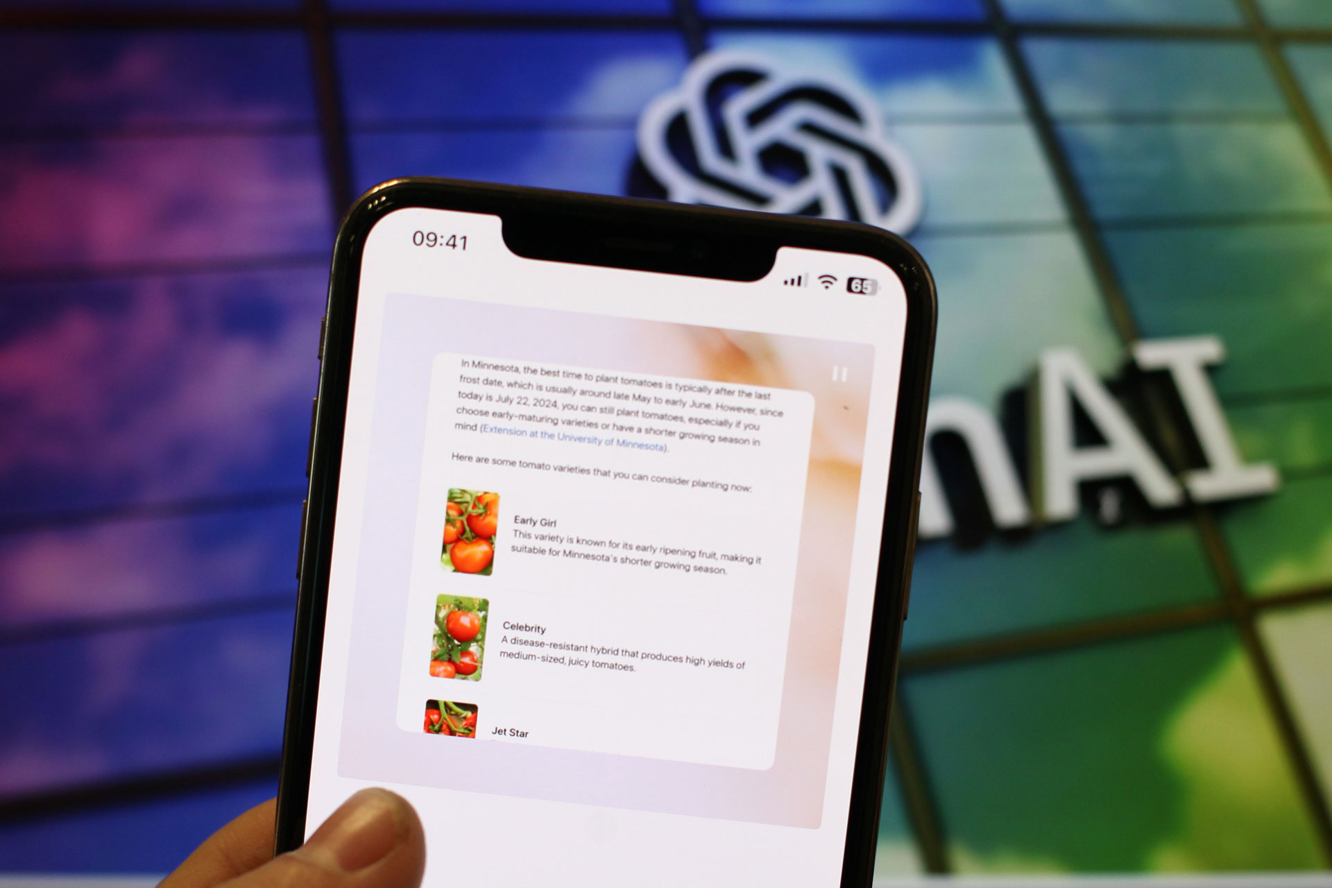 Giao diện công cụ tìm kiếm SearchGPT của OpenAI. Ảnh: Khương Nha