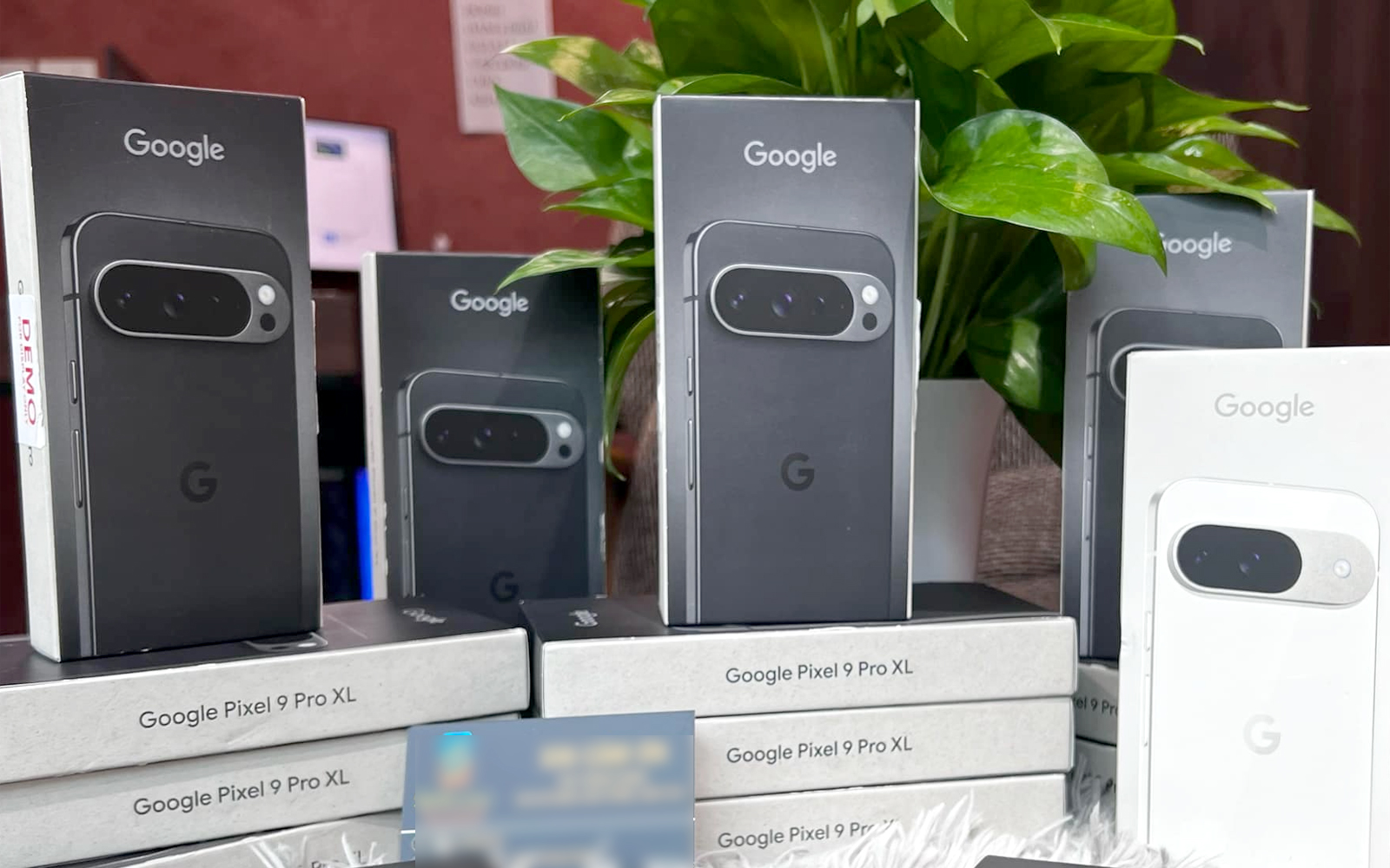 Google Pixel 9, 9 Pro và 9 Pro XL được rao bán tại Việt Nam trước khi lên kệ tại thị trường Mỹ. Ảnh: Khương Quỳnh