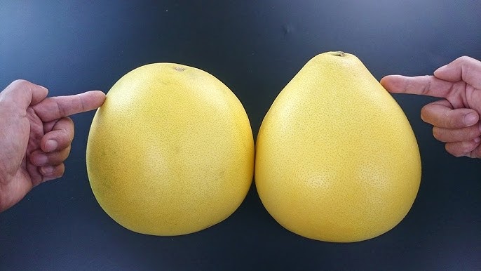 Nên chọn quả bưởi đầu nhọn như quả lê (bên phải), tránh chọn nhọn quá cũng không ngon. Ảnh: Aboluowang
