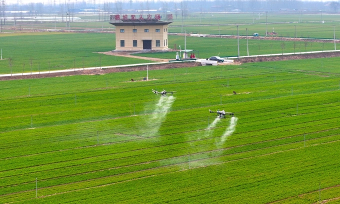 Drone đang phun thuốc trên cánh đồng. Ảnh: VCG