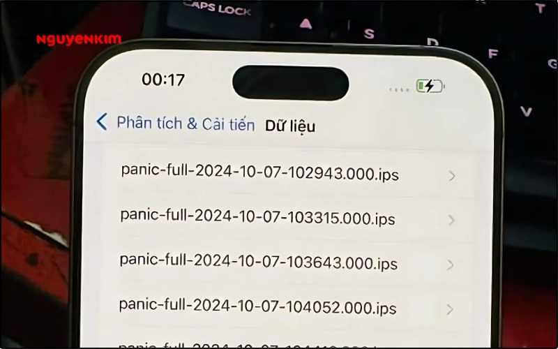 Nguyên nhân lỗi Panic Full