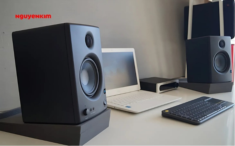 chức năng của loa kiểm âm