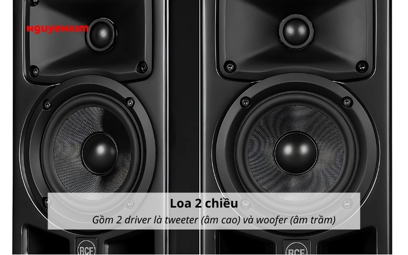 loa kiểm âm 2 chiều