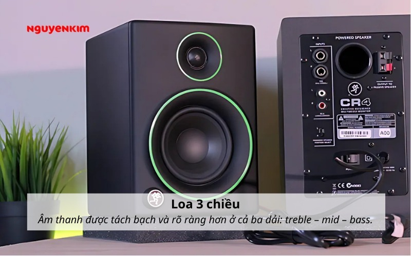 loa kiểm âm 3 chiều