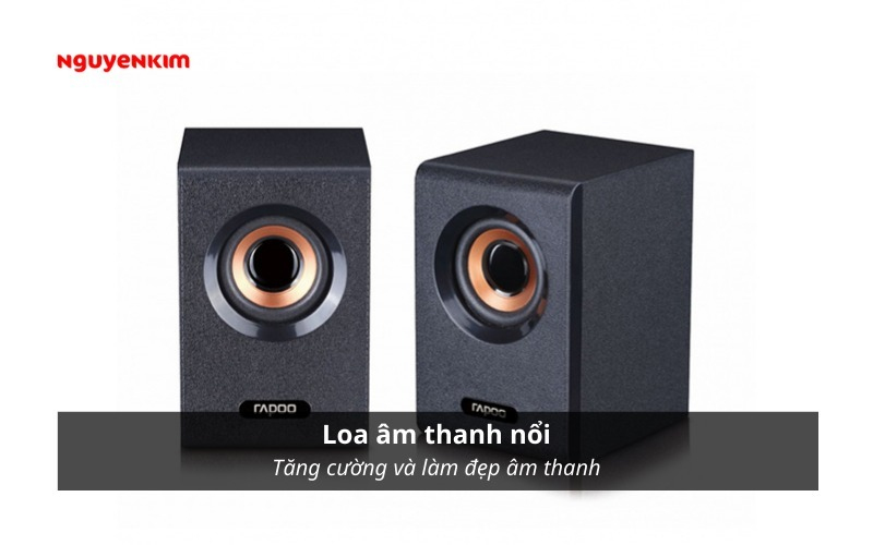 loa âm thanh nổi