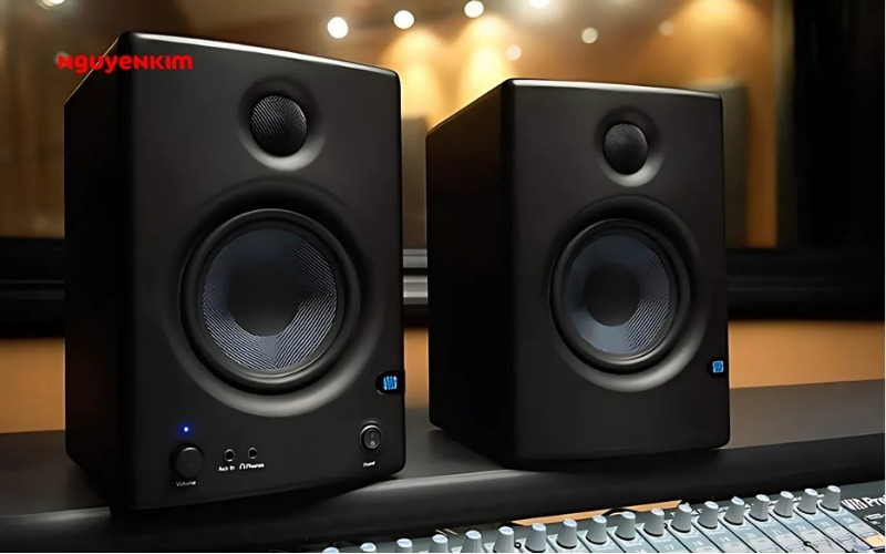 Loa kiểm âm là gì