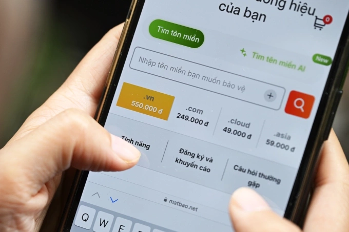 Một người đang tìm mua tên miền .vn. Ảnh: Trọng Đạt