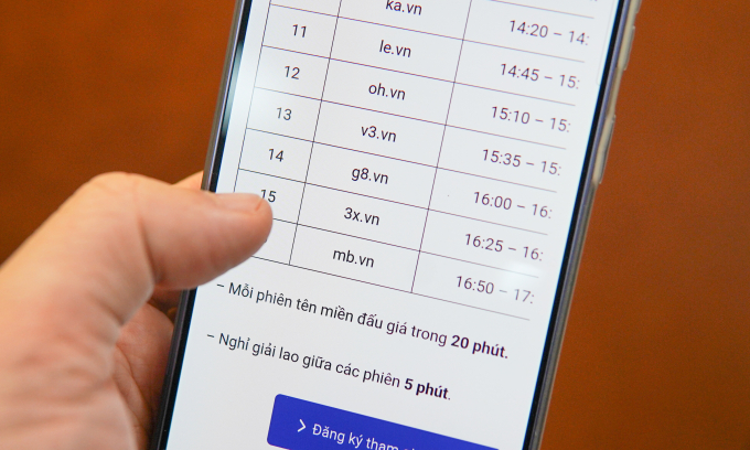 Giao diện trang thông tin đấu giá tên miền của VNNIC. Ảnh: Lưu Quý